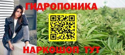 прущие крисы Будённовск