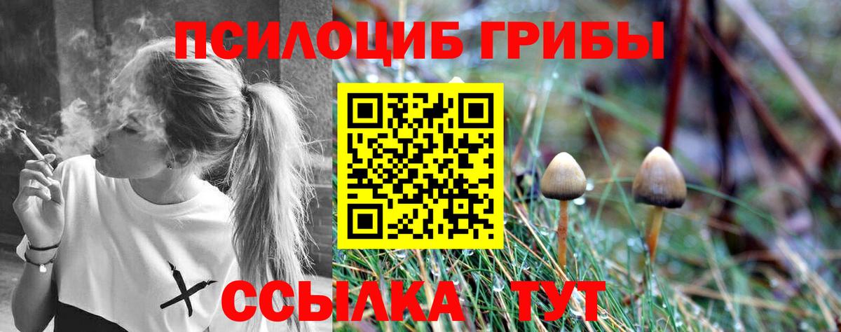 Галлюциногенные грибы мицелий Приморско-Ахтарск